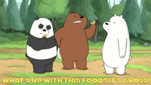 We Bare Bears Grizzly Bear GIF - We Bare Bears Grizzly Bear Whats Up With This Food GIFs