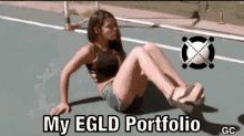 Egld Portfolio GIF - Egld Portfolio Crypto GIFs