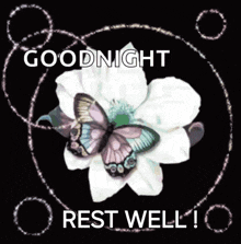 Good Night Goodnight GIF - Good Night Goodnight Good Night Images GIFs