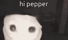 a white cat with black eyes is standing in a dark room with the words `` hi pepper '' written above it .
