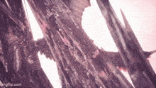 a close up of a purple and pink abstract background with a few lines .
