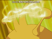 thunder thunderbolt pokemon electabuzz uses thunder