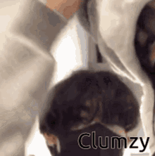 Clumzy GIF - Clumzy GIFs
