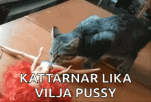 a cat is playing with a barbie doll on a table with the words kattarnar lika vilja pussy below it