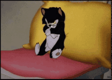 Not In The Mood Annoyed GIF - Not In The Mood Annoyed Cat GIFs