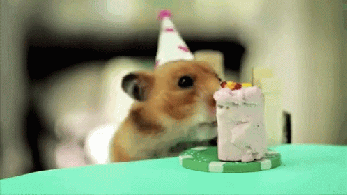 Cheese Cake Birthday GIF - Cheese Cake Birthday Mouse GIFs