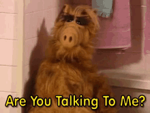 Alf You Talking To Me GIF