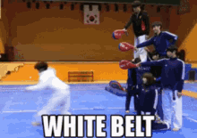 Wow  GIF - Taekwondo Awesome Black Belt GIFs