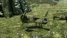 a screenshot of a video game called oblivionloading