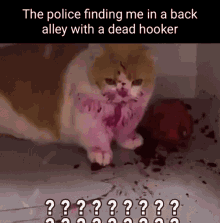 Police Hooker GIF - Police Hooker Cat GIFs