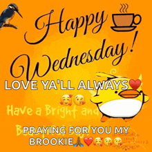 happy wednesday love ya 'll always have a bright and praying for you my brookie .