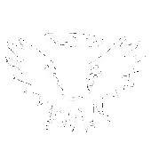 a black and white drawing of a bird 's feathers on a white background .