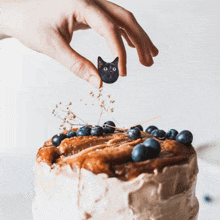 a cake with blueberries and a black cat on top of it