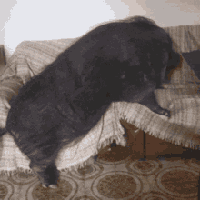 a black dog laying on a couch with a blanket