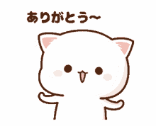 an cat