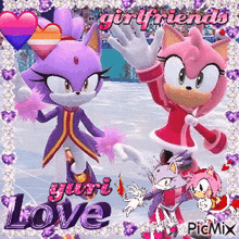 a picture of blaze the cat and amy the hedgehog with the words girlfriends love