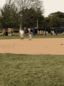 Chicken Little Baseball GIFs | Tenor