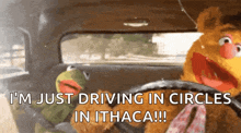 Drive Happy But Carefree Kermit GIF