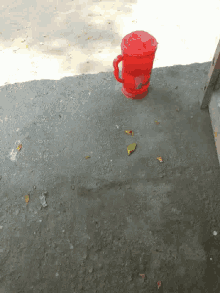 Pitcher Water GIF - Pitcher Water GIFs