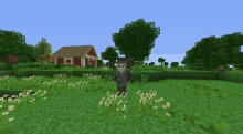 a man with a beard stands in a field in a minecraft game