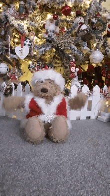 Photobomb Dog Photo Bomb GIF - Photobomb Dog Photo Bomb Christmas GIFs