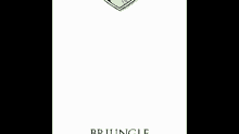 a logo for a company called brjungle with a palm tree on it