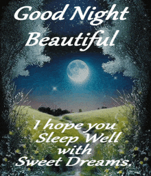 Good Night Beautiful GIF - Good Night Beautiful Sleep Well GIFs