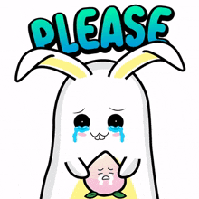 rabbit white peach cute please