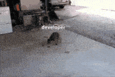 a dog with the word developer written on the ground