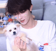 a boy is holding a small white dog in his hands