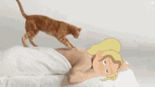 Whosji Massage GIF - Whosji Massage Cat Massage GIFs