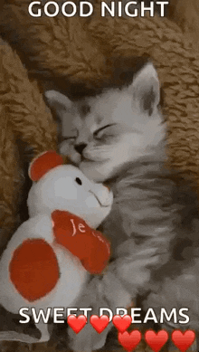 a kitten is sleeping next to a teddy bear and hearts .