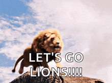 Aslan Roar GIF - Aslan Roar Lion GIFs