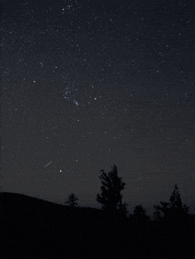a night sky with the constellation lepus in the foreground