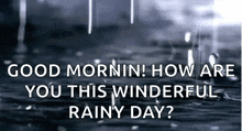 Rainy Day Nice Day To Sleep GIF - Rainy Day Nice Day To Sleep Rain Drops GIFs