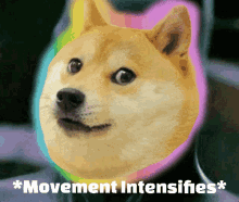 Movement Intensifies Dogefam GIF - Movement Intensifies Dogefam Tylermilgate GIFs