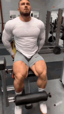 bodybuilder bodybuilding muscles gym