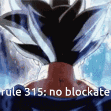 Rule315 Blockate GIF - Rule315 Blockate No Blockate GIFs