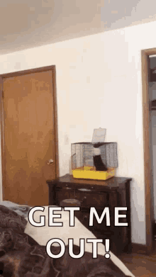 Rabbit Jump Out Of Cage GIF - Rabbit Jump Out Of Cage Get Me Out GIFs