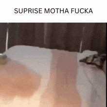 Suprise Motha Fucka GIF - Suprise Motha Fucka GIFs