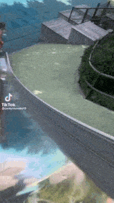 a person is riding a slide in a pool with a tik tok watermark