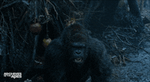 Planet Of The Apes Luca GIF - Planet Of The Apes Luca Stand GIFs