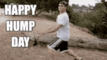 A Destreza das Dúvidas: Happy Hump Day!