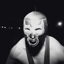 The Stubs Luchador GIF - The Stubs Luchador Bring It On GIFs