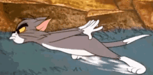 Tom Tom And Jerry GIF - Tom Tom And Jerry Cat GIFs