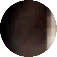 a pixelated image of a circle with a white border on a white background