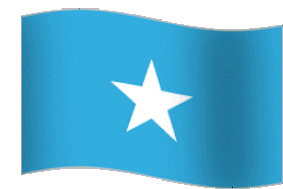 Somali Flag Sticker - Somali Flag Flag Of Somalia Stickers