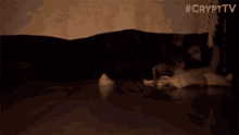 Mother Daughter GIF - Mother Daughter Under The Bed GIFs
