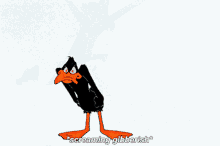 Daffy Duck Screaming Gibberish GIF - Daffy Duck Screaming Gibberish Gibberish GIFs
