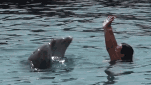 Playing With Dolphins Mariah Milano GIF - Playing With Dolphins Mariah Milano Dinner With Mariah GIFs